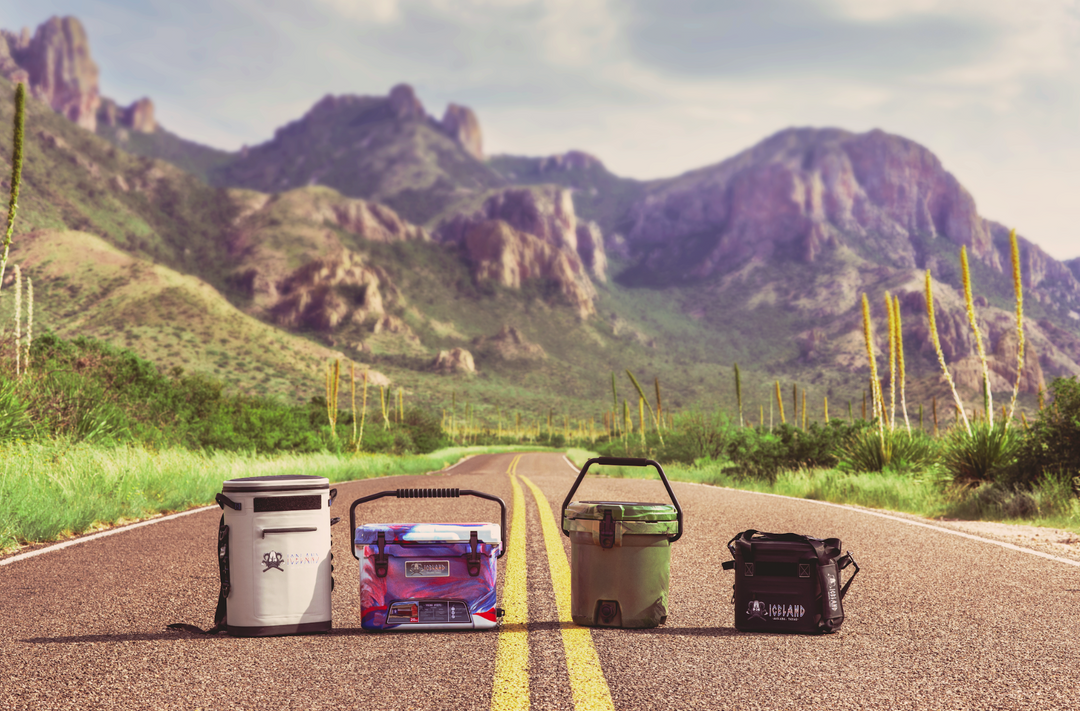 Blow Molded vs Rotomolded Cooler: Which One Should You Choose?