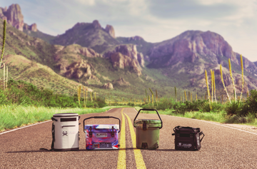 Blow Molded vs Rotomolded Cooler: Which One Should You Choose?